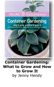 Container Gardening: What to Grow and How to Grow It
