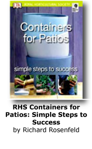Containers for Patios: Simple steps to success