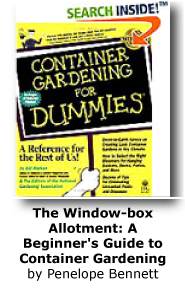 Container Gardening for Dummies
