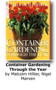 Container Gardening Through the Year (DK Living)