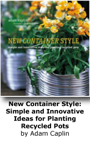 New Container Style: Simple and Innovative Ideas for Planting Recycled Pots