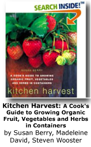 Kitchen Harvest: A Cook's Guide to Growing Organic Fruit, Vegetables and Herbs in Containers