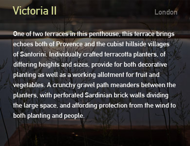 Provence style roof garden plants