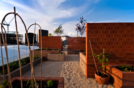 Provence style roof garden plants