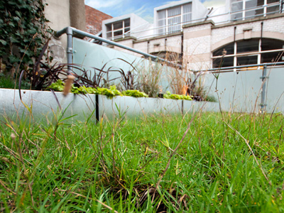 Office roof terrace