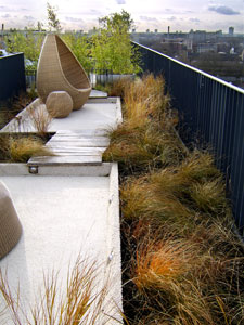 Beach theme roof terrace