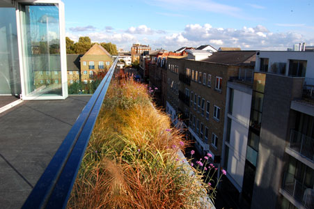 Contemporary roof terrace