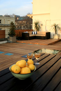 Contemporary roof terrace