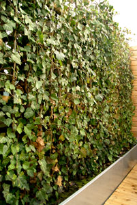 Small private roof terrace