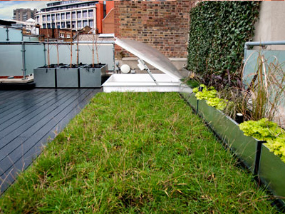 Office roof terrace
