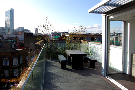 Contemporary roof terrace