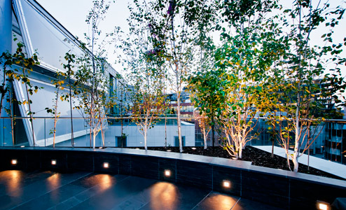 Penthouse flat roof terraces