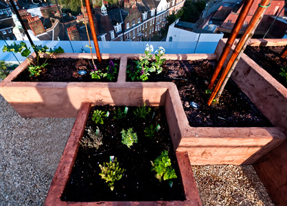 Provence style roof garden plants