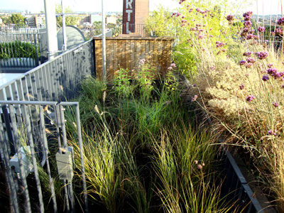 Beach theme roof terrace