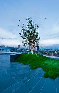 Penthouse flat roof terraces