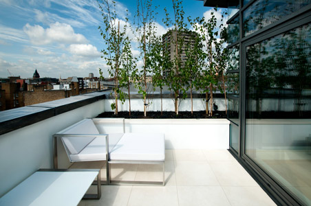 Minimalist roof terrace