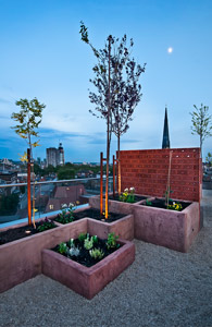 Provence style roof garden plants