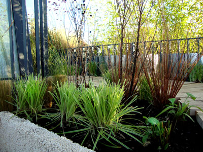 Beach theme roof terrace