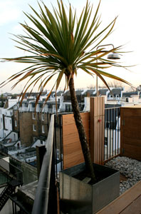Contemporary roof terrace