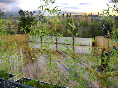 Converter factory roof terrace