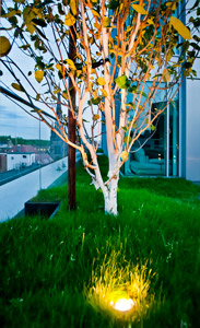 Penthouse flat roof terraces