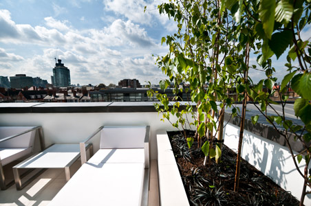 Minimalist roof terrace