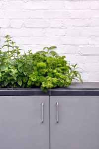Child friendly roof garden