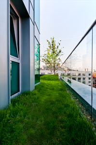 Penthouse flat roof terraces