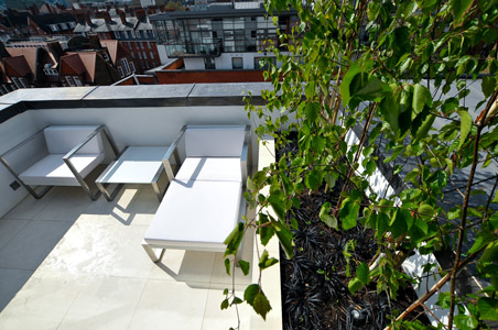 Minimalist roof terrace