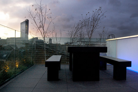 Contemporary roof terrace