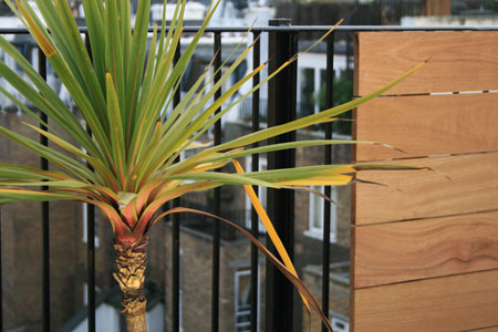 Contemporary roof terrace