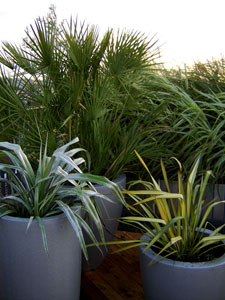 Converter factory roof terrace