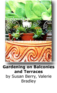 Gardening on Balconies and Terraces