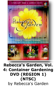 Rebecca's Garden: Container Gardening 4