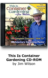 This Is Container Gardening
