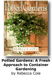 Potted Gardens: A Fresh Approach to Container Gardening