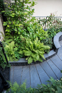 Roof Garden