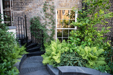 Roof Garden