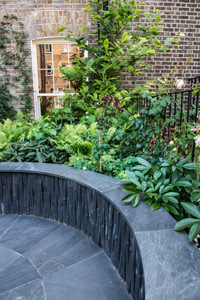 Roof Garden