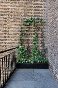 Roof Garden