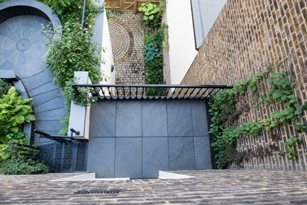 Roof Garden